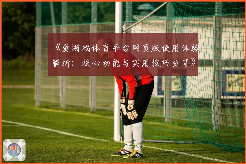 《爱游戏体育平台网页版使用体验解析：核心功能与实用技巧分享》